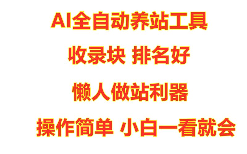 揭秘电商时代的站群程序：解锁企业运营新利器